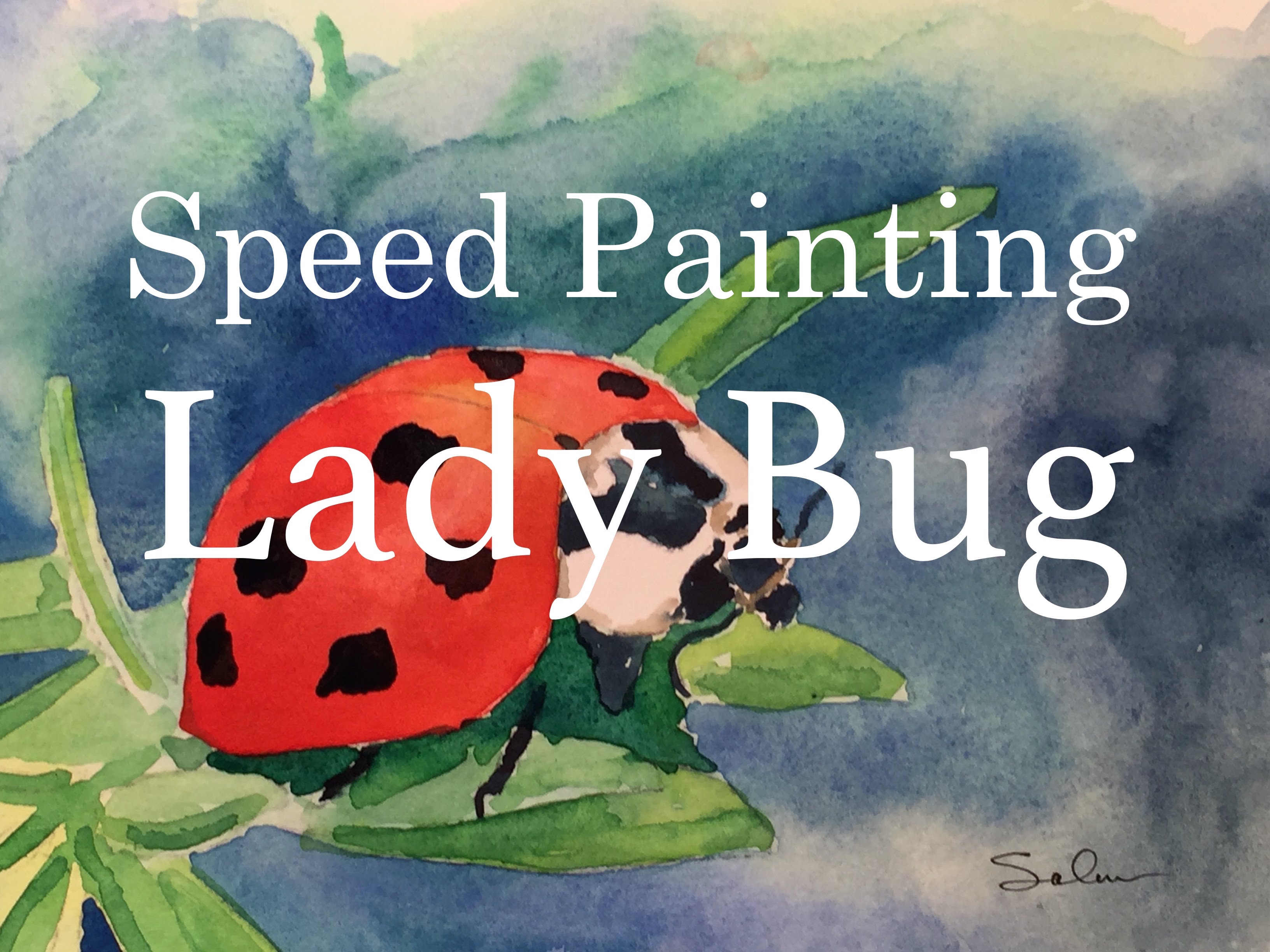 3264x2448 How To Speed Painting A Ladybug In Watercolor Watercolour