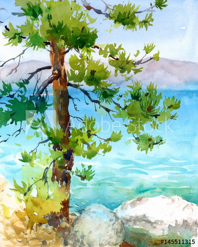 401x500 Watercolor Pine Tree With A Beautiful Teal Blue Lake Tahoe And