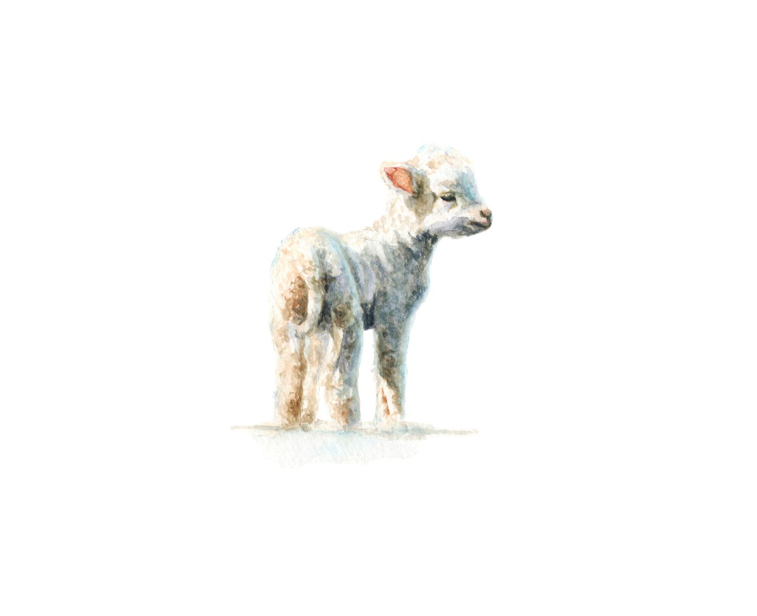 1500x1220 Lamb No. 1 Art Print Baby Animal Painting