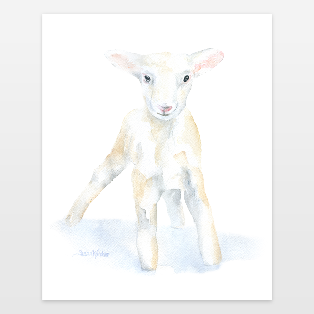 1000x1000 Lamb Watercolor Art Print By Susanwindsor On Boomboomprints