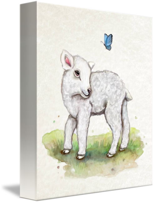 494x650 Little Lamb In Watercolor By Cheryl Marie