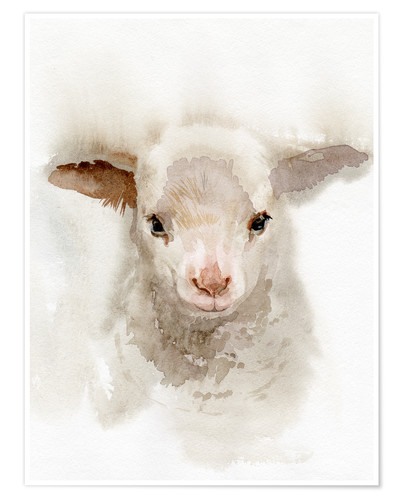 400x500 Verbrugge Watercolor Lamb Watercolor Poster Posterlounge