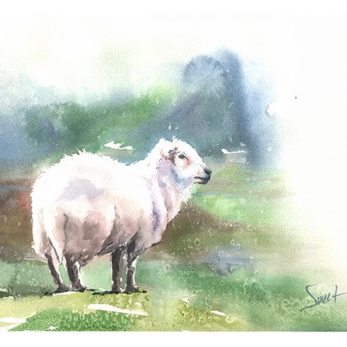 500x500 Lamb Watercolor Archives Watercolor Animal Paintings