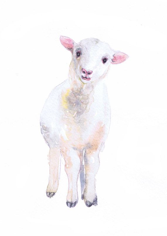 570x803 Baby Sheep Painting Lamb Art Watercolor Farm Nursery Decor Print