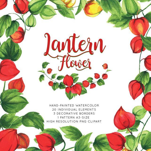 642x643 Red Lantern Watercolor Flower Hand Painted Png Floral Wedding Etsy
