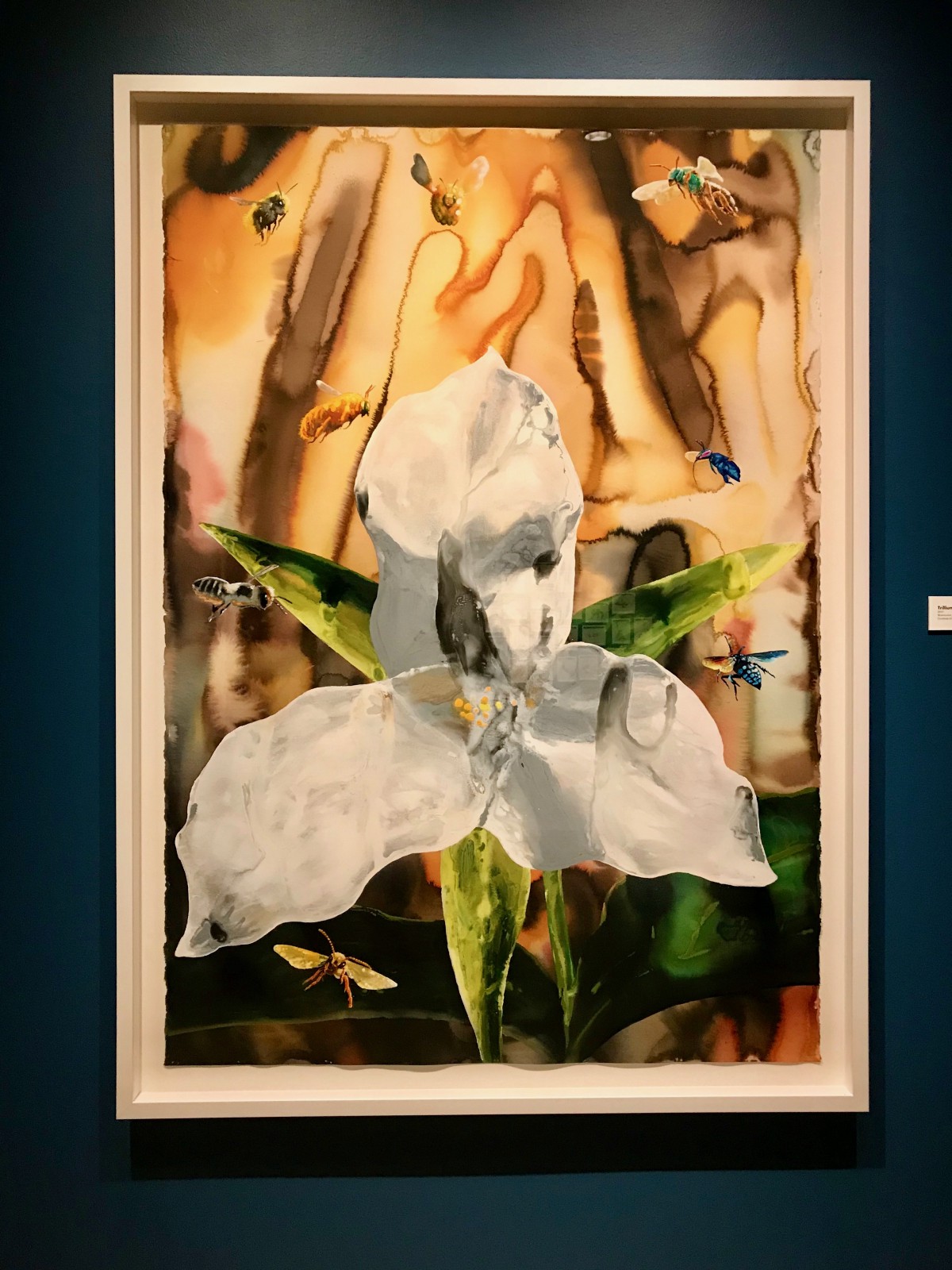 1200x1600 Alexis Rockman Walks Line Between Science And Art, Not Quite Doing