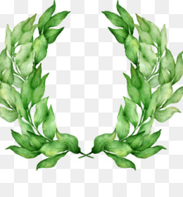 260x280 Free Download Laurel Wreath Bay Laurel Watercolor Painting Drawing