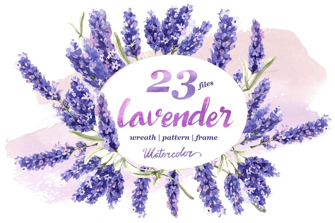 1158x772 Lavender Png Flowers In Watercolor