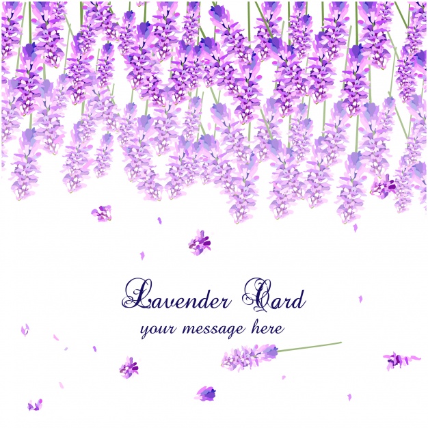 626x626 Lavender Watercolor Card Design Vector Free Download