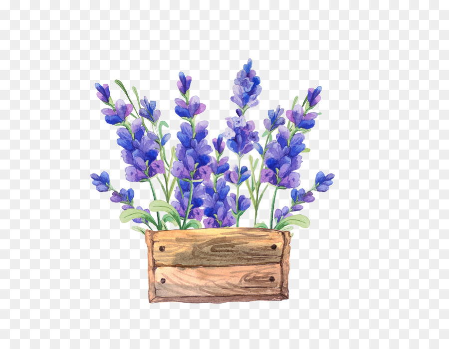 900x700 Paper Watercolor Painting Flower Lavender