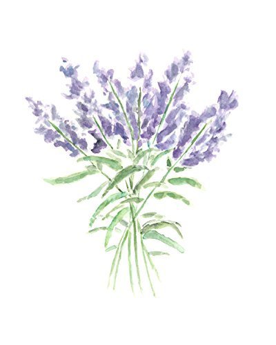400x500 Lavender Flower Art Herb Kitchen Painting Watercolor