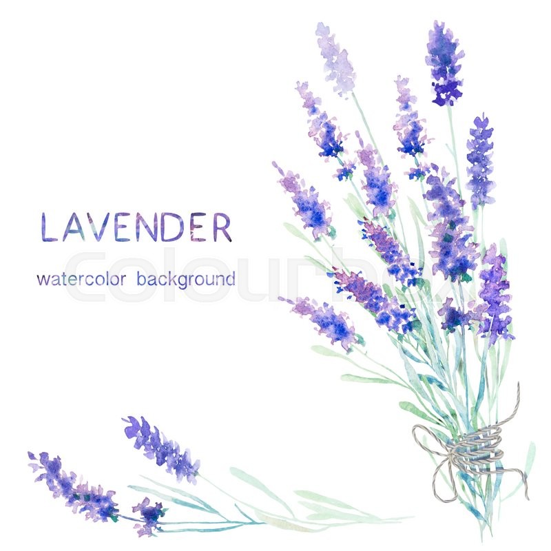 800x800 Watercolor Lavender Background. Card, Greeting Cards, Invitations