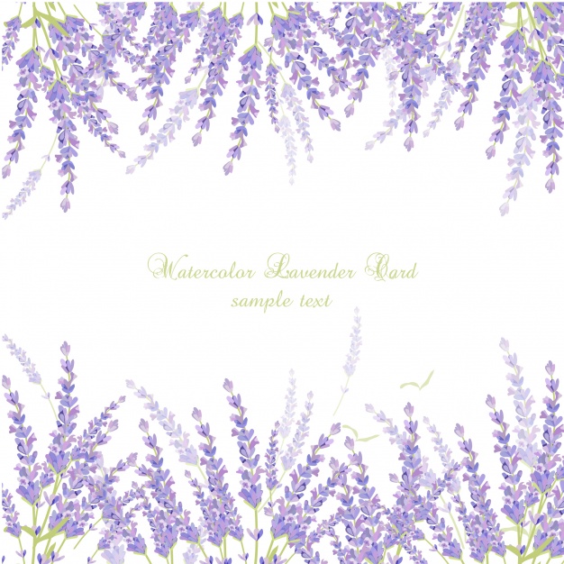 626x626 Watercolor Lavender Card Vector Free Download
