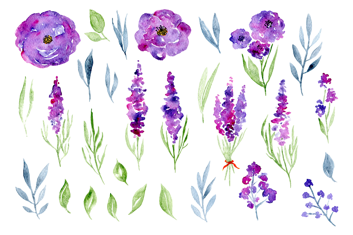 1160x772 Watercolor Violet Lavender, Roses Flowers By Watercolorflowers