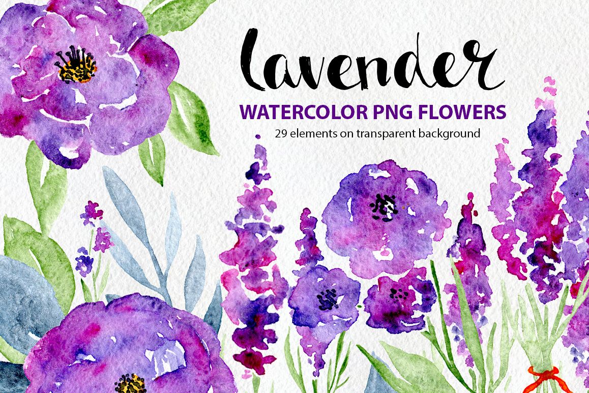 1158x772 Watercolor Violet Lilac Lavender, Roses Flowers