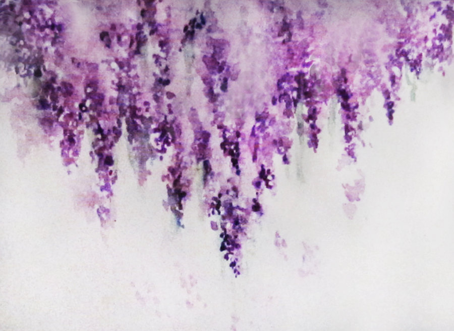 900x655 Images Of Lavender Watercolor