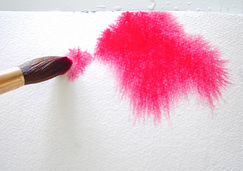 243x171 The Watercolor Learning Center