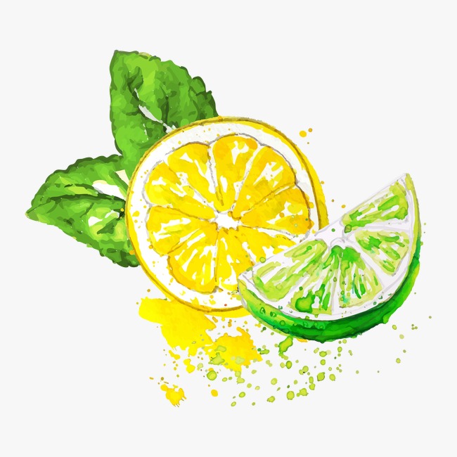 650x650 Watercolor Lemon, Watercolor Clipart, Lemon Clipart, Fruit Png