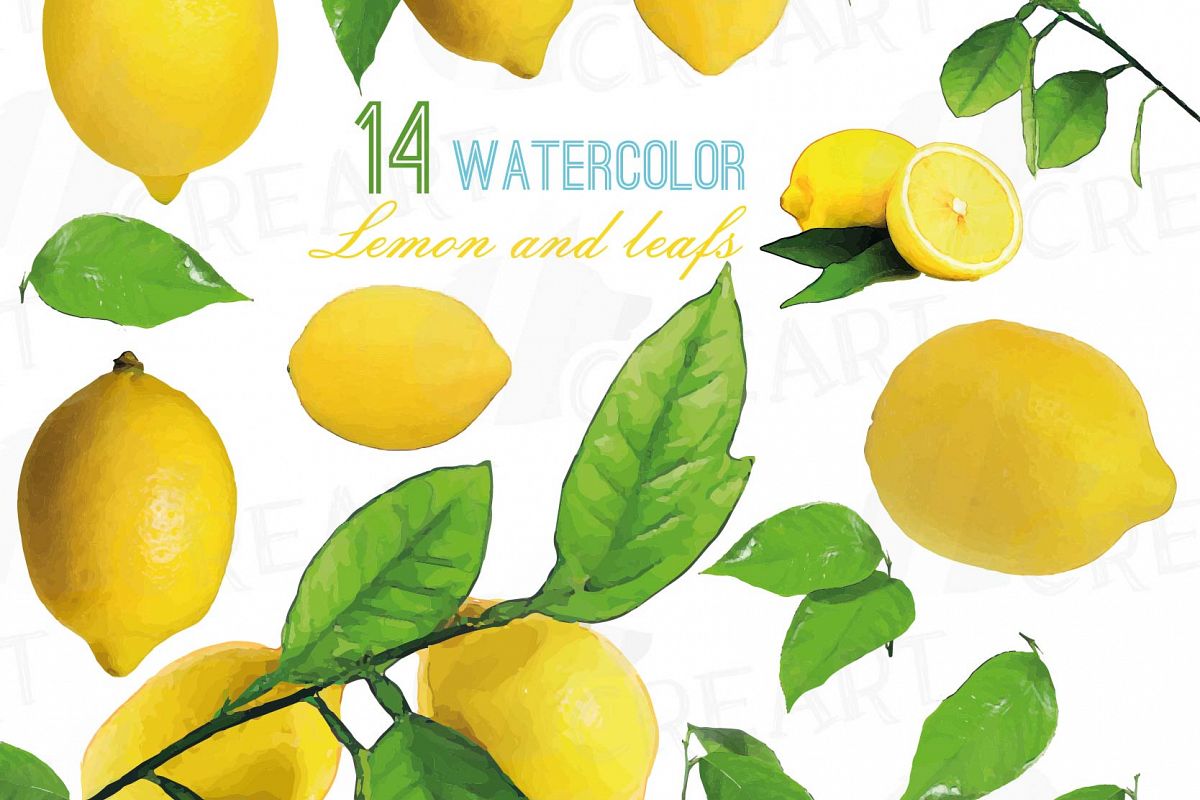 1200x800 Watercolor Lemons, Branch And Leaves Clip Art Pack, Watercolor