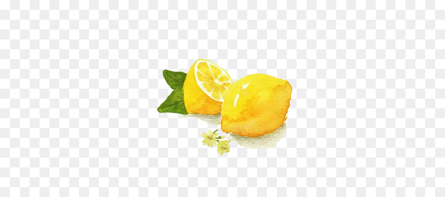 900x400 Watercolor Painting Lemon Illustration