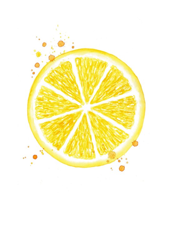 570x725 Citrus Print Watercolor Lemon Print Lemon Watercolor Kitchen Etsy