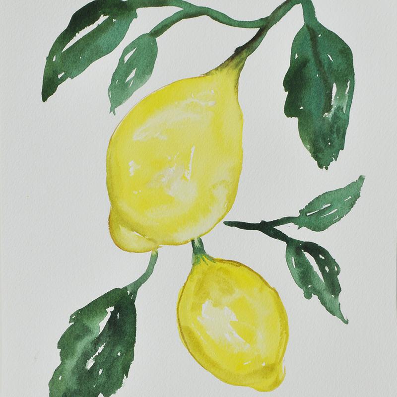 800x800 Lemon Watercolor Painting Kitchen Original Painting