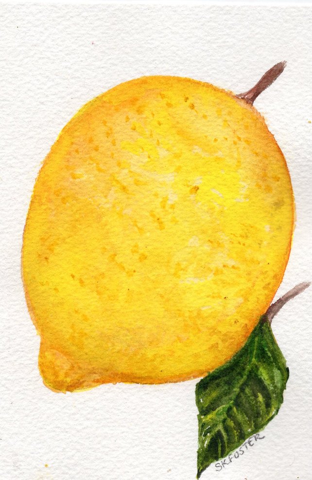 642x986 Lemon Watercolor Painting Original Fruit Watercolors 4 X 6 Etsy