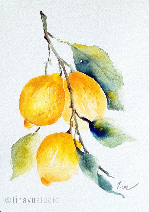 570x812 Lemon Painting. Lemon Art. Original Watercolor Painting. Fruit