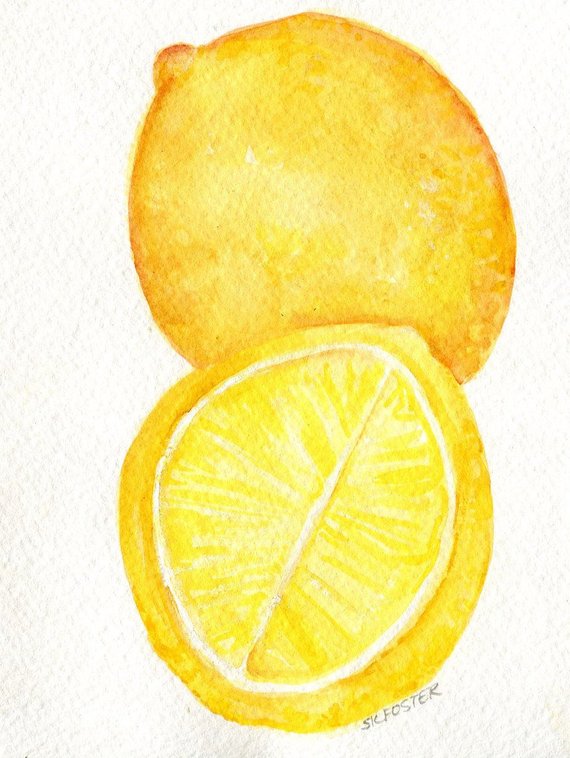 570x758 Lemons Watercolor Paintings Original Small Fruit Painting Etsy
