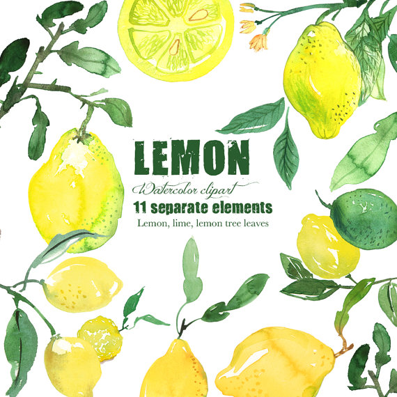 570x570 Lemons Clipart Painted ~ Frames ~ Illustrations ~ Hd Images