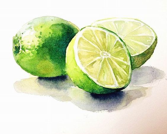 564x451 Watercolor Painting Lemon Watercolor Print Wall By Pinkleavesarts