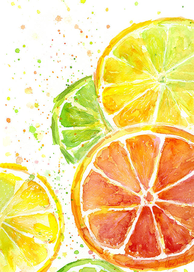 642x900 Citrus Fruit Watercolor Painting By Olga Shvartsur