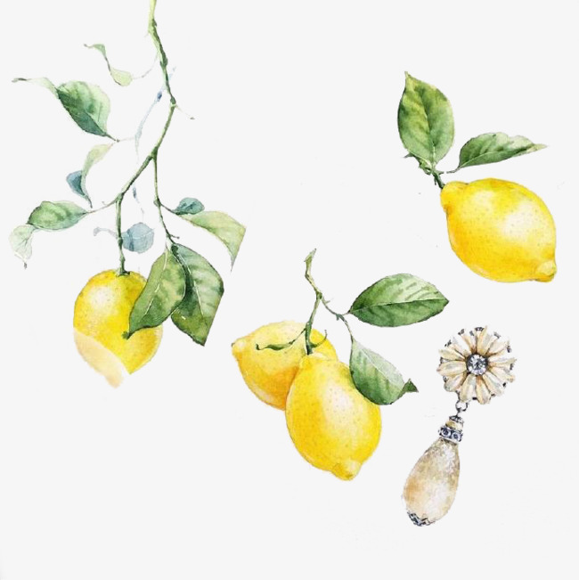 650x651 Fig Watercolor Painted Lemon Material, Watercolor Clipart, Lemon