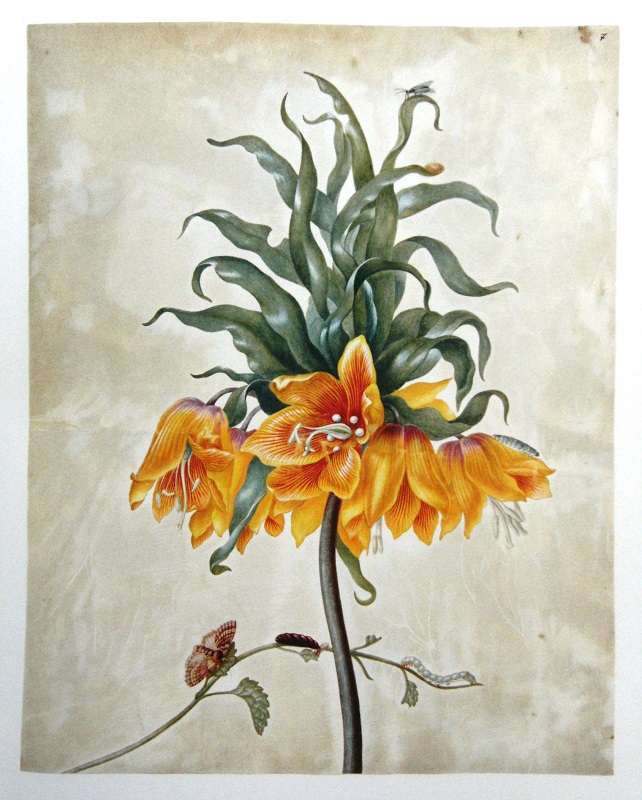 642x800 Leningrad Watercolours