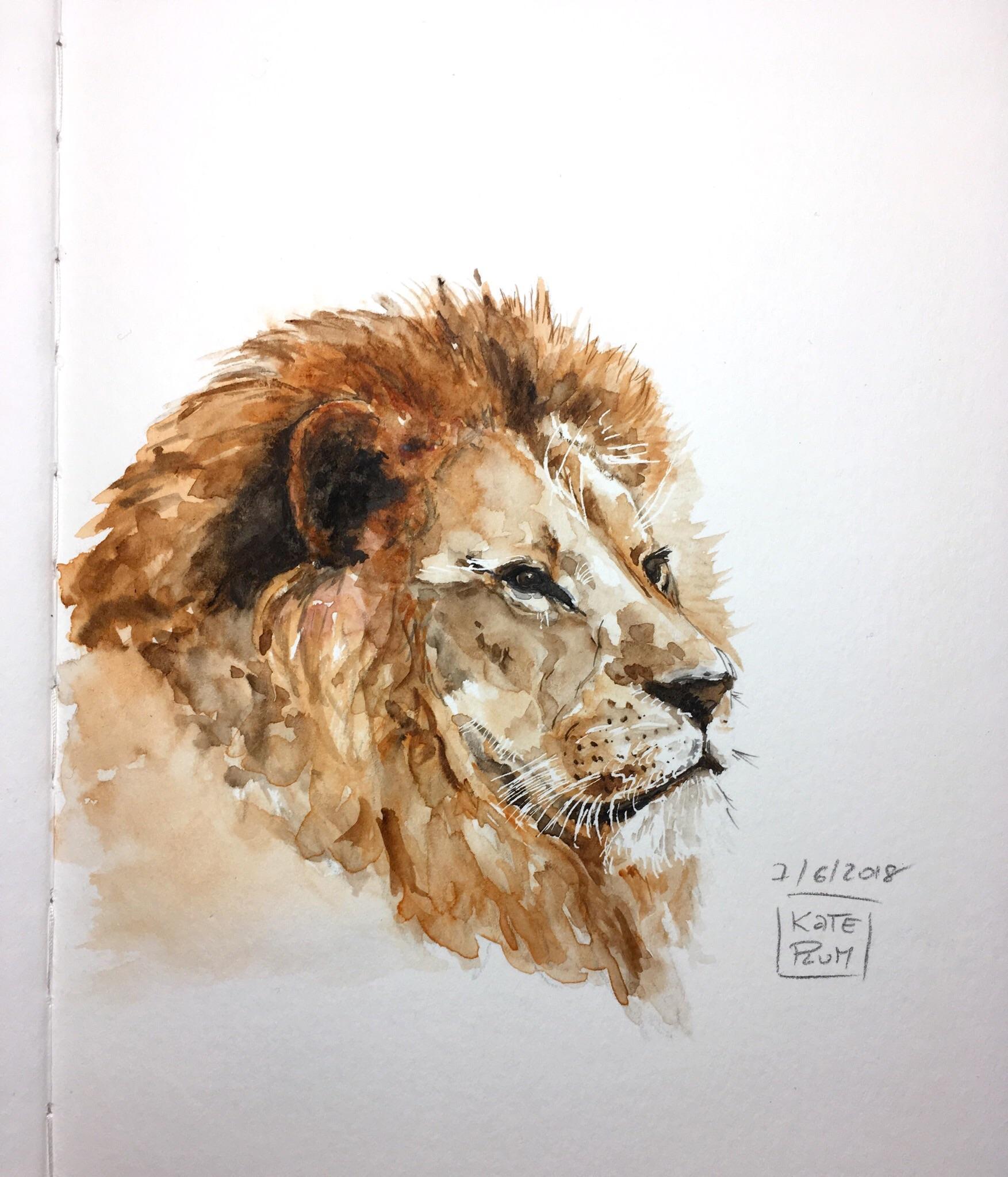 1753x2046 Small Watercolor Doodle For The Very End Of The Day Leo