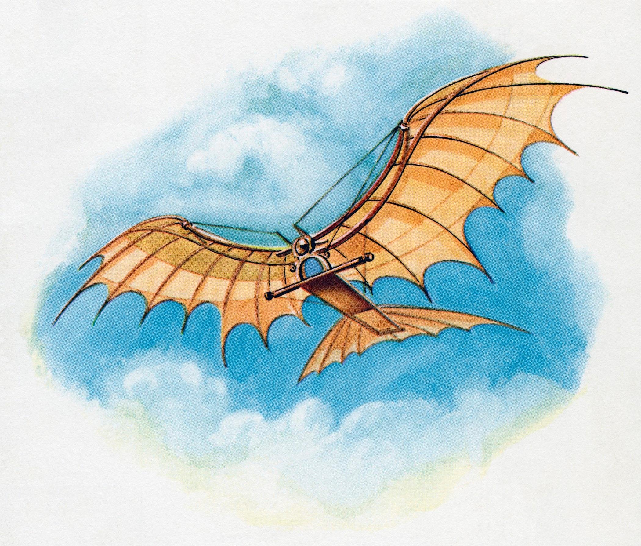 2100x1788 Red Bull Flugtag Uae 2015 Adventure Red Bull Mea