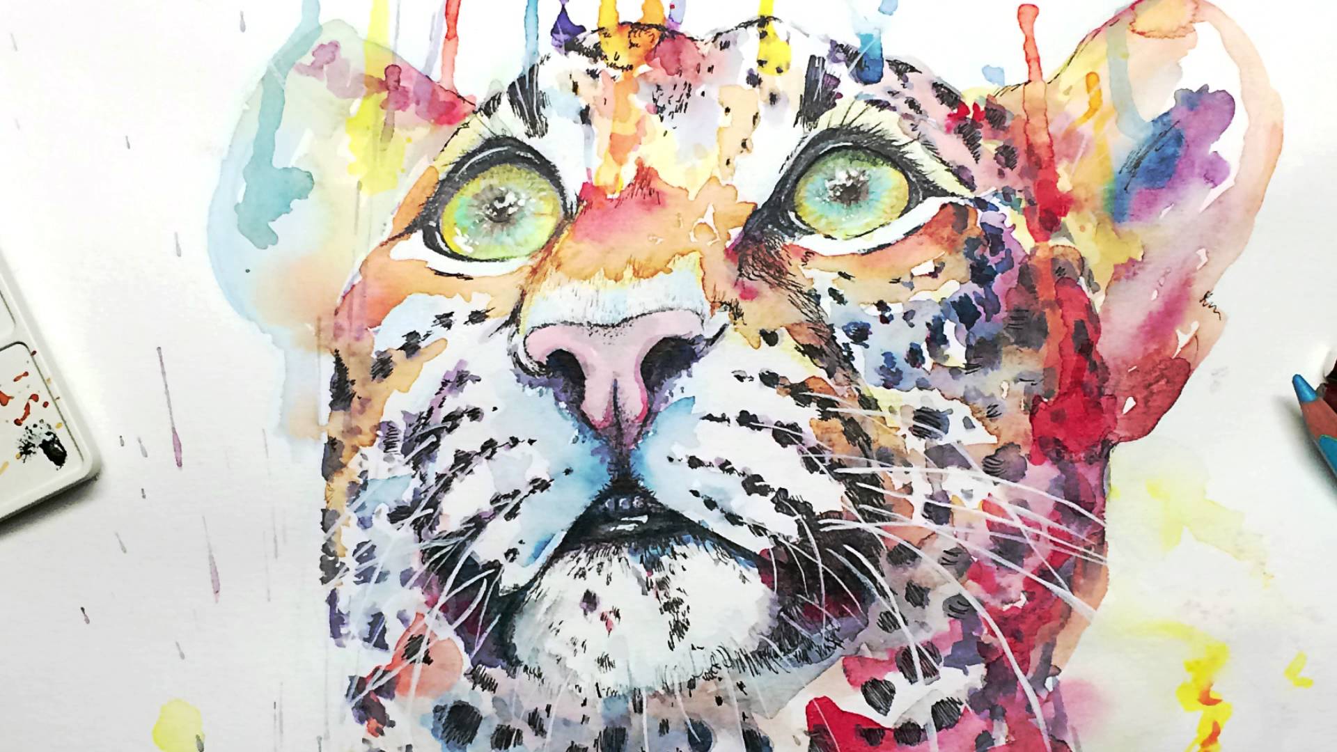1920x1080 Leopard Rainbow Watercolour Speedpaint