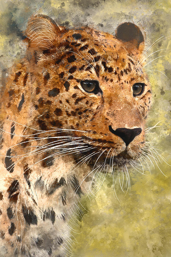 600x900 Leopard Watercolor Digital Art By Sharalee Art