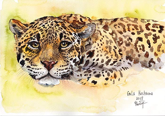 700x490 The Leopard Watercolor Original Wild Animal Painting