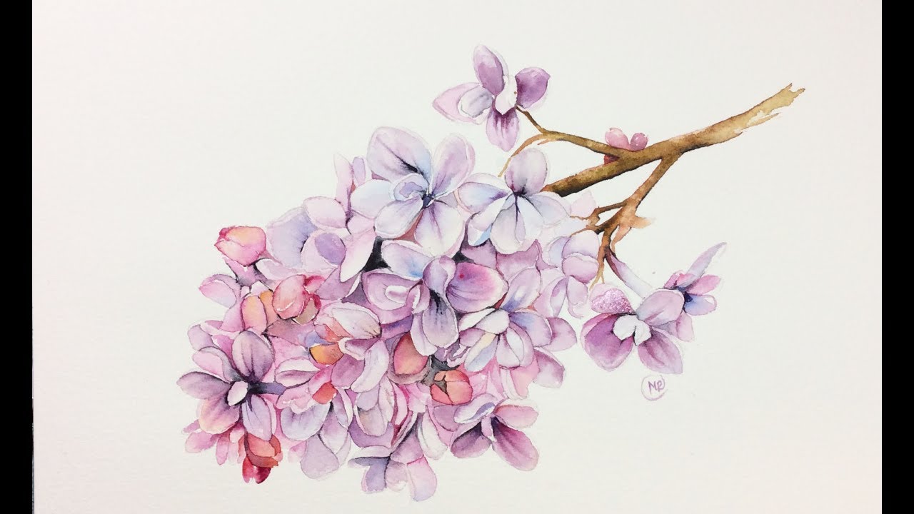 1280x720 Watercolor Lilac Flowers Painting Demonstration