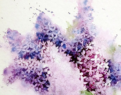 404x316 Watercolor Lilac In A Pot On Behance