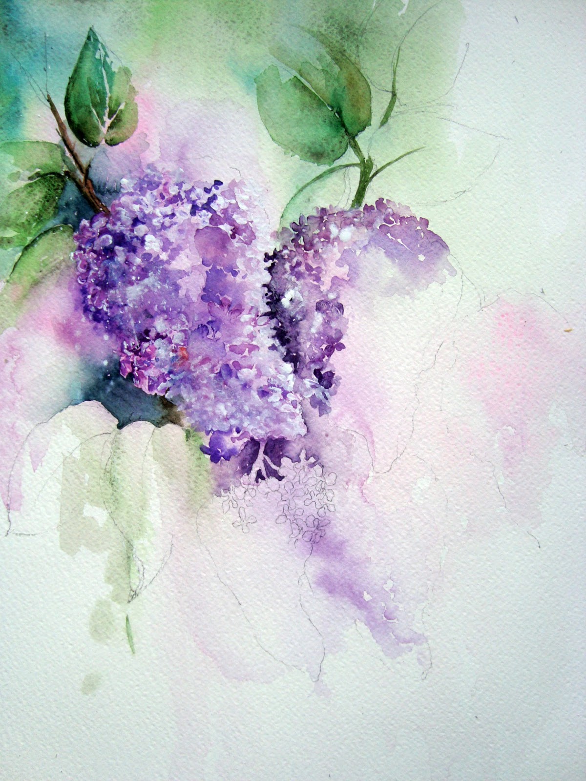 1200x1600 Watercolour Florals Lilac Blossom
