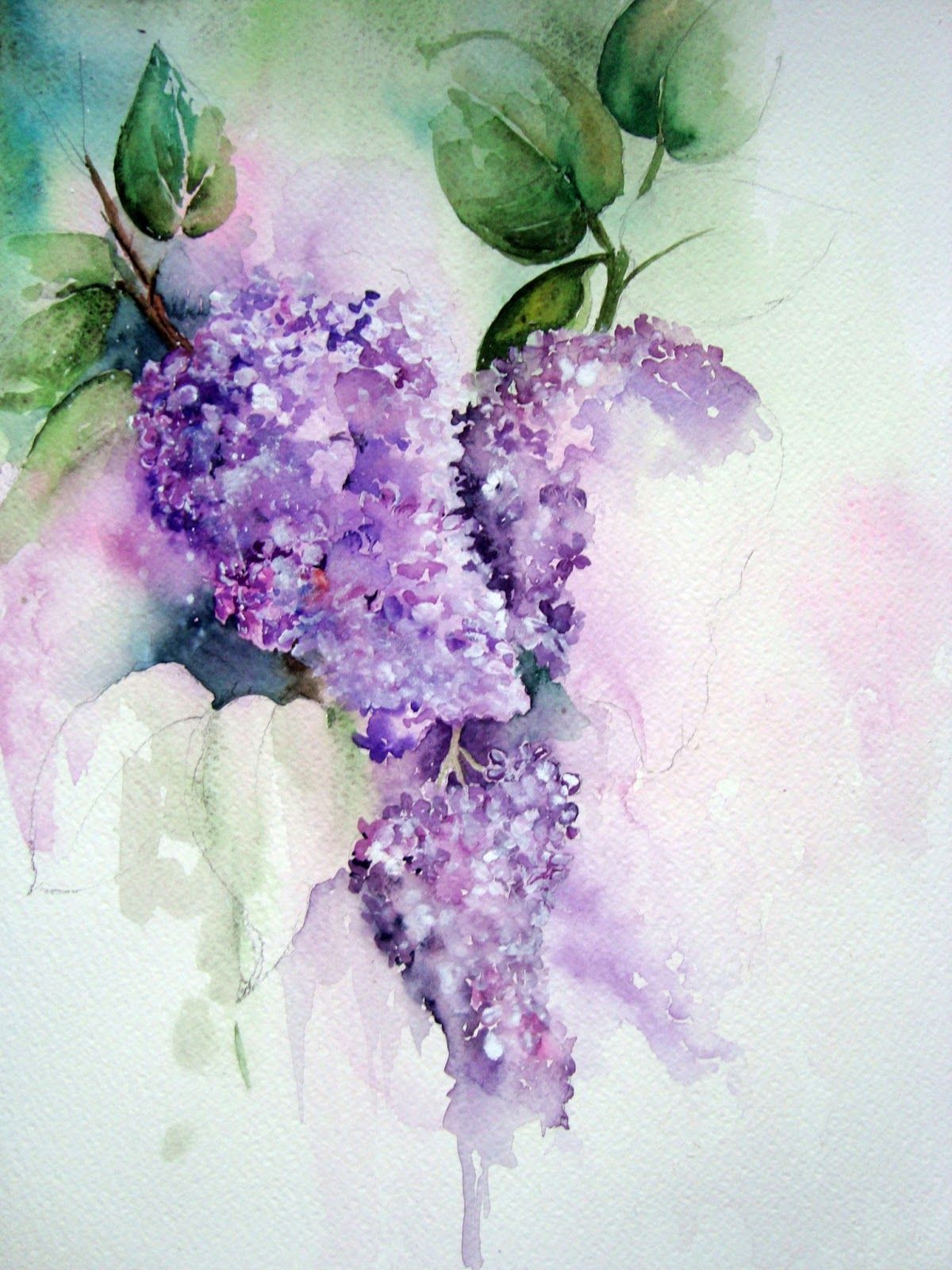 1200x1600 Watercolor Paintings Of Lilacs In This Photo You Can Just About