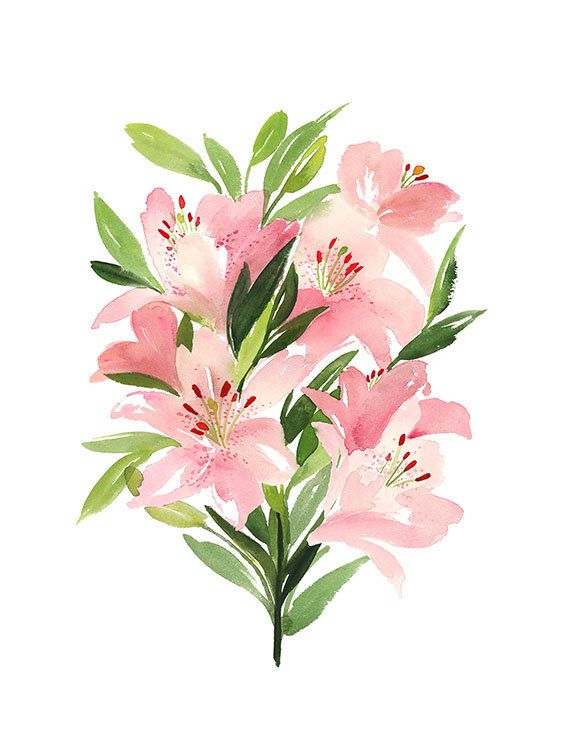 570x738 Handmade Watercolor Archival Art Print Lilies In Vertical