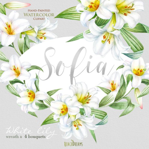 570x570 Lily Flowers Watercolor Clipartwedding Floral White Wreath Amp Etsy