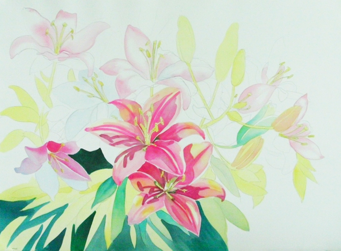 696x512 Continuing Large Watercolor Of Lily Flowers