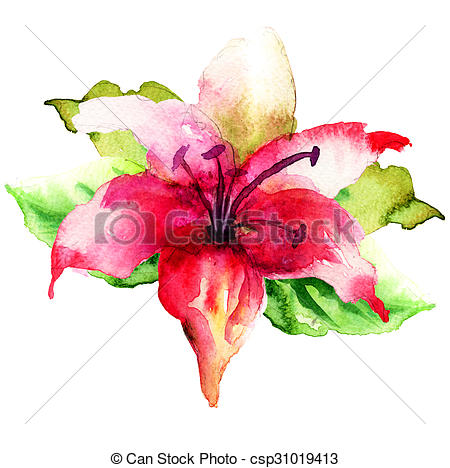 450x468 Decorative Lily Flower, Watercolor Illustration .
