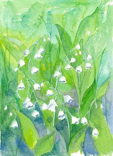 363x500 For The Birth Month Flower For May, An Original Watercolor