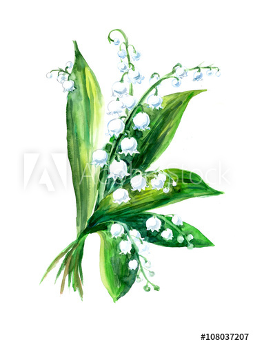 367x500 Lily Of The Valley Bouquet. Greeting Cards. Pattern From White