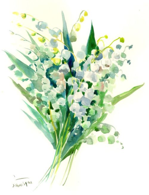 500x654 Lily Of The Valley Watercolor
